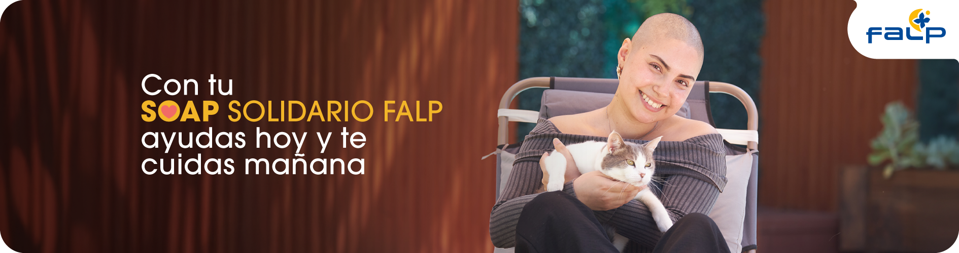 SOAP Solidario FALP 2026