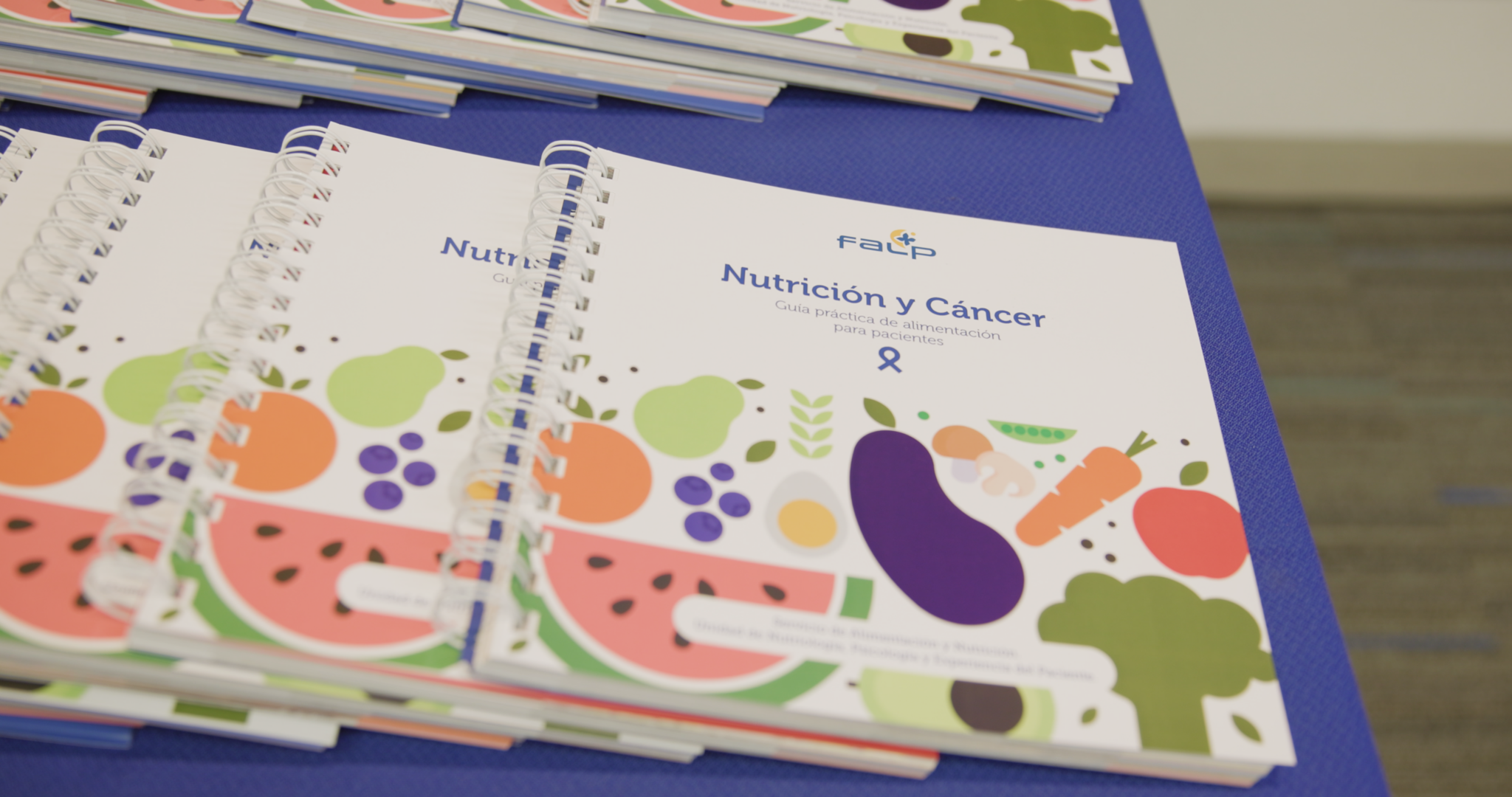 La cocina como aliada: Guía reúne más de 60 recetas para pacientes con cáncer